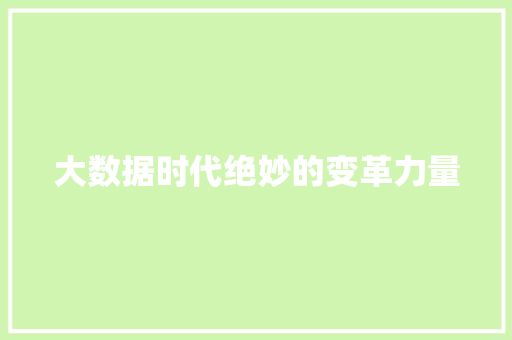 大数据时代绝妙的变革力量