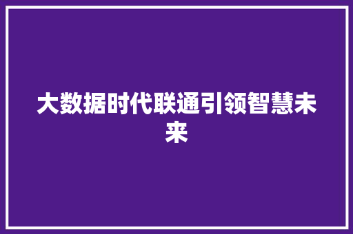 大数据时代联通引领智慧未来