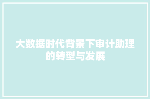 大数据时代背景下审计助理的转型与发展