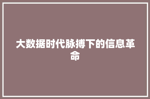 大数据时代脉搏下的信息革命