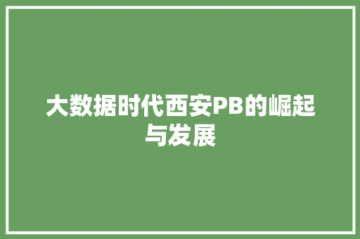 大数据时代西安PB的崛起与发展