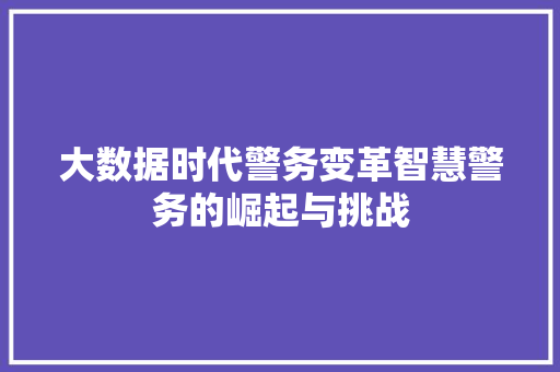 大数据时代警务变革智慧警务的崛起与挑战