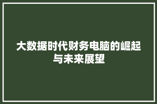 大数据时代财务电脑的崛起与未来展望