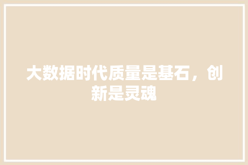 大数据时代质量是基石，创新是灵魂