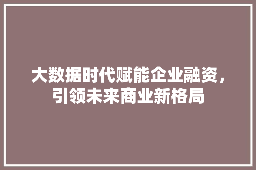 大数据时代赋能企业融资，引领未来商业新格局