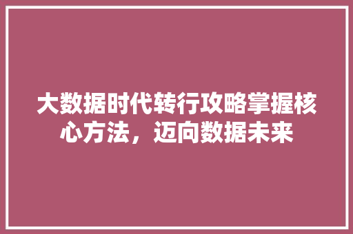 大数据时代转行攻略掌握核心方法，迈向数据未来