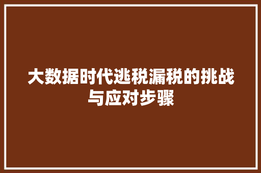 大数据时代逃税漏税的挑战与应对步骤