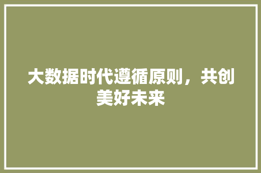 大数据时代遵循原则，共创美好未来