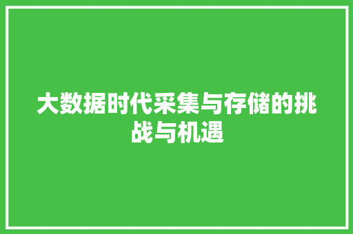 大数据时代采集与存储的挑战与机遇