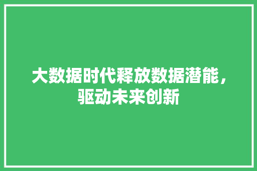 大数据时代释放数据潜能，驱动未来创新