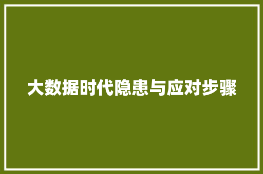 大数据时代隐患与应对步骤