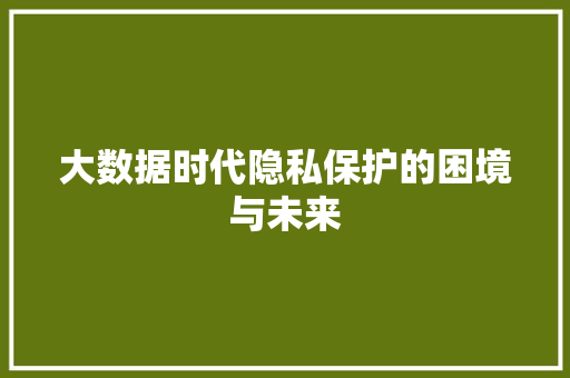 大数据时代隐私保护的困境与未来