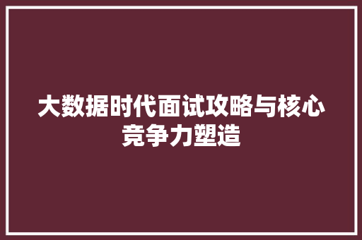 大数据时代面试攻略与核心竞争力塑造