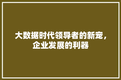 大数据时代领导者的新宠，企业发展的利器