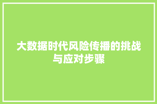 大数据时代风险传播的挑战与应对步骤