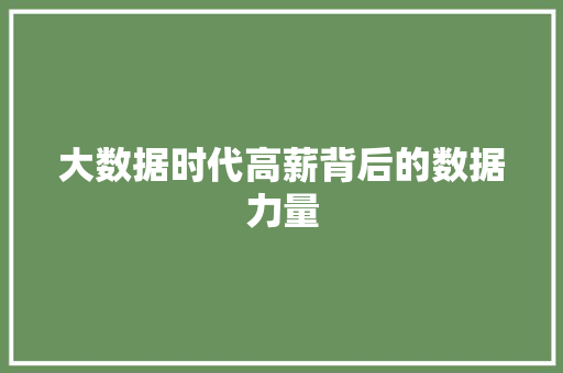 大数据时代高薪背后的数据力量
