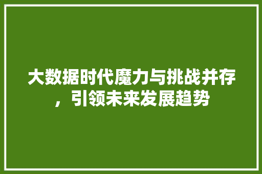 大数据时代魔力与挑战并存，引领未来发展趋势