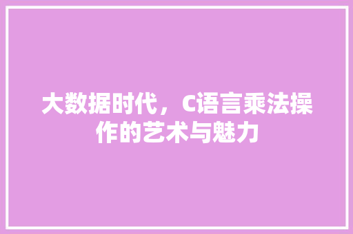 大数据时代，C语言乘法操作的艺术与魅力