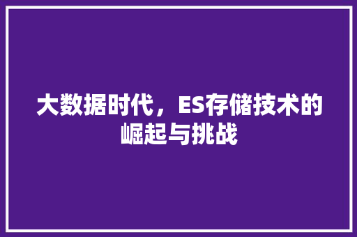 大数据时代，ES存储技术的崛起与挑战