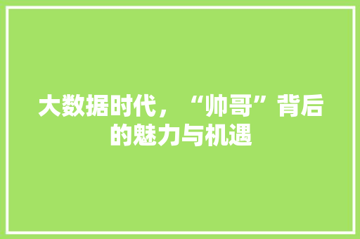 大数据时代，“帅哥”背后的魅力与机遇