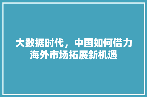 大数据时代，中国如何借力海外市场拓展新机遇