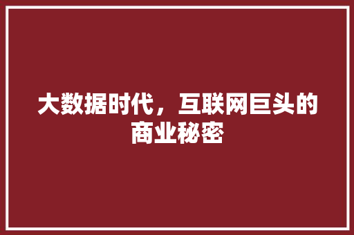 大数据时代，互联网巨头的商业秘密