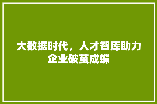 大数据时代，人才智库助力企业破茧成蝶