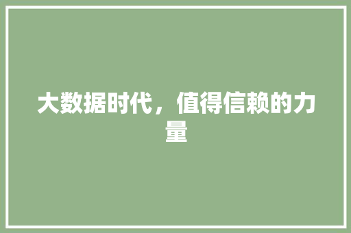大数据时代，值得信赖的力量