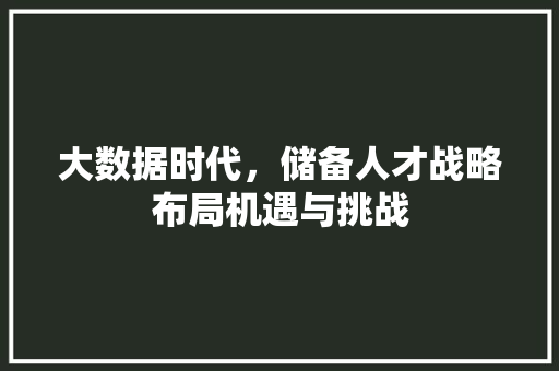 大数据时代，储备人才战略布局机遇与挑战