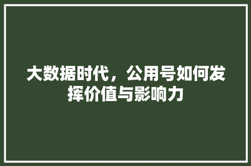 大数据时代，公用号如何发挥价值与影响力