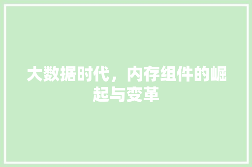 大数据时代，内存组件的崛起与变革