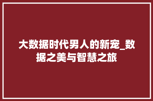 大数据时代男人的新宠_数据之美与智慧之旅