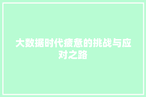 大数据时代疲惫的挑战与应对之路
