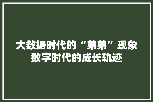 大数据时代的“弟弟”现象数字时代的成长轨迹