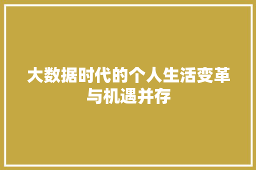 大数据时代的个人生活变革与机遇并存
