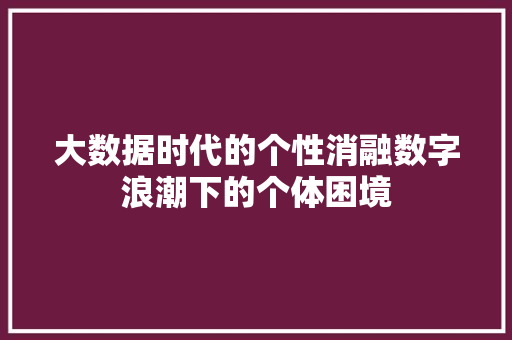 大数据时代的个性消融数字浪潮下的个体困境