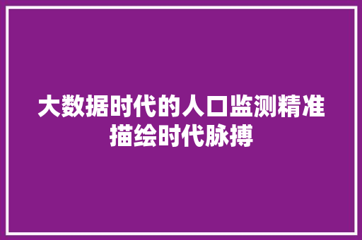 大数据时代的人口监测精准描绘时代脉搏