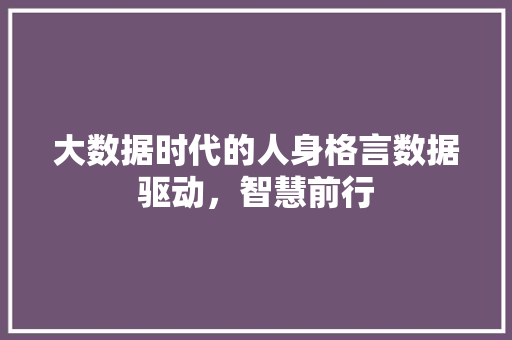 大数据时代的人身格言数据驱动，智慧前行