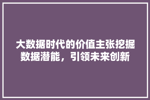 大数据时代的价值主张挖掘数据潜能，引领未来创新 建站教程
