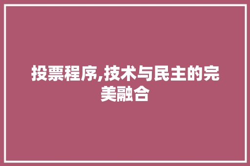 投票程序,技术与民主的完美融合