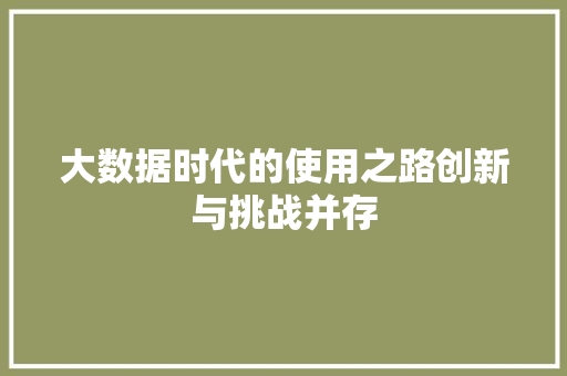 大数据时代的使用之路创新与挑战并存