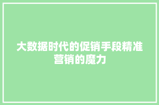 大数据时代的促销手段精准营销的魔力