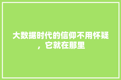 大数据时代的信仰不用怀疑，它就在那里