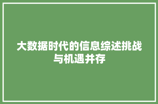 大数据时代的信息综述挑战与机遇并存