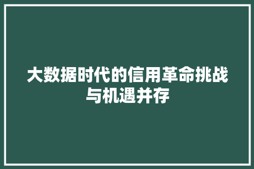 大数据时代的信用革命挑战与机遇并存