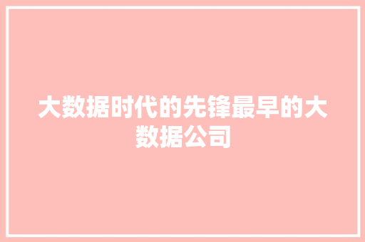 大数据时代的先锋最早的大数据公司