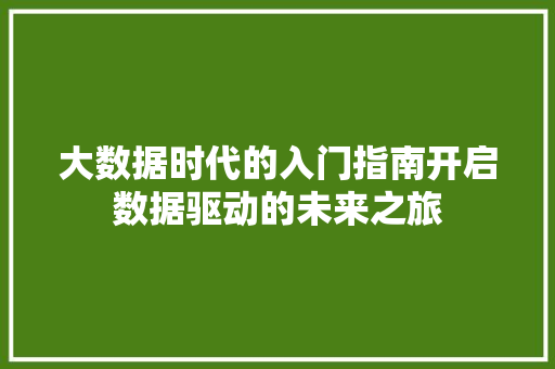 大数据时代的入门指南开启数据驱动的未来之旅
