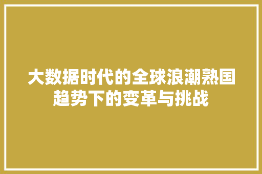 大数据时代的全球浪潮熟国趋势下的变革与挑战