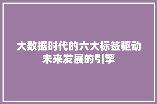 大数据时代的六大标签驱动未来发展的引擎