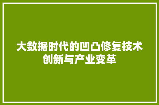 大数据时代的凹凸修复技术创新与产业变革